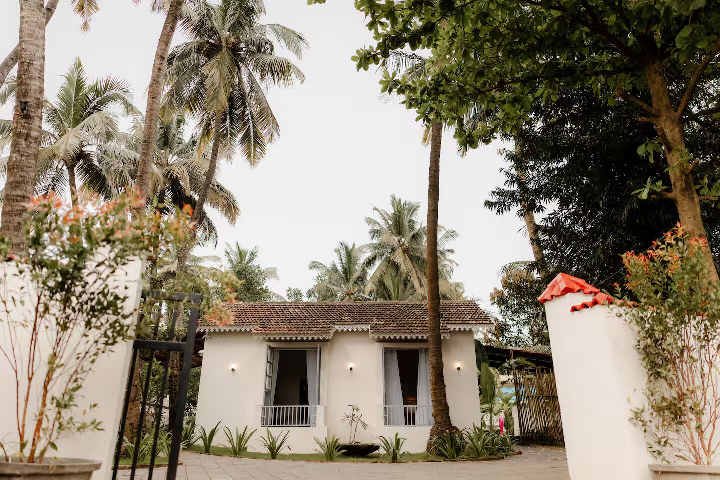 0f37404b-07f4-4155-a0ae-83637c5b6970_converted